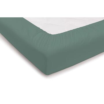 Topper 1 Piazza 1/2 Lenzuolo Sotto con Angoli Dream Family Verde 100% Cotone Made in Italy 120x200+30cm