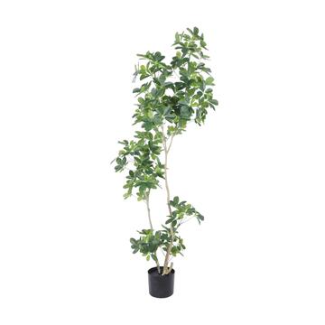 Albero Artificiale di Schefflera 160cm per Decorazione Interni