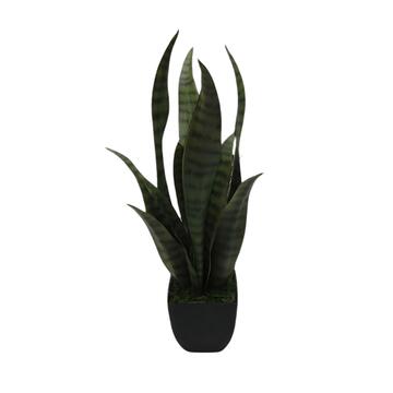 Pianta di Sanseveria Artificiale 55cm per Decorazione Interni