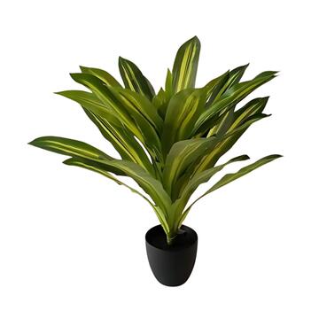 Pianta Artificiale Dracena 60cm per Decorazione Interni