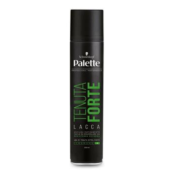 Palette lacca professionale tenuta forte 48h 300 ML