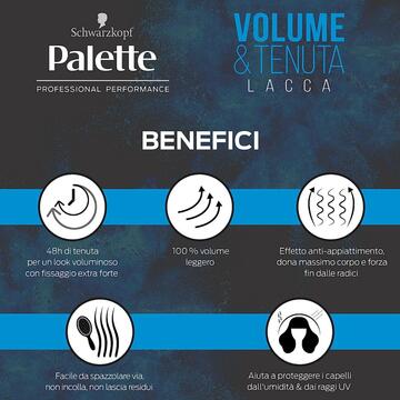 Palette lacca professionale volume e tenuta forte 48h 300 ML